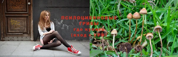 кокаин VHQ Бородино