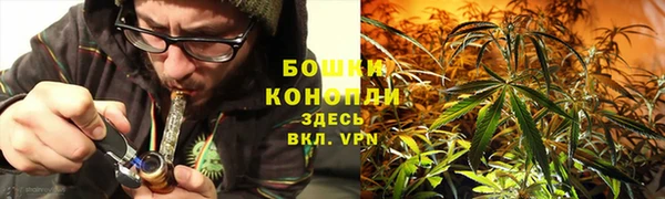PSILOCYBIN Богородск