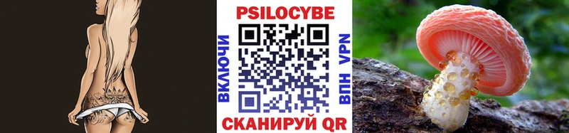Псилоцибиновые грибы MAGIC MUSHROOMS  как найти закладки  Высоковск 